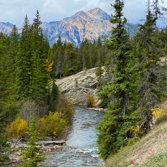 Meet your Posher, Angela - Picture 1 of 1